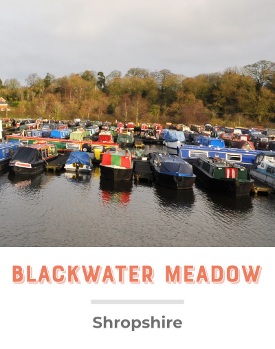 Blackwater Meadow Marina